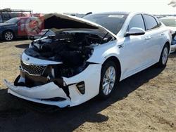 کیا ئۆپتیما